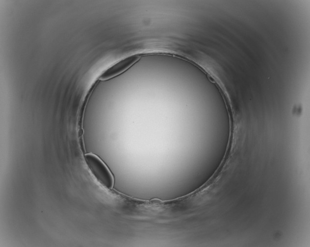 X0000111391197200907241326