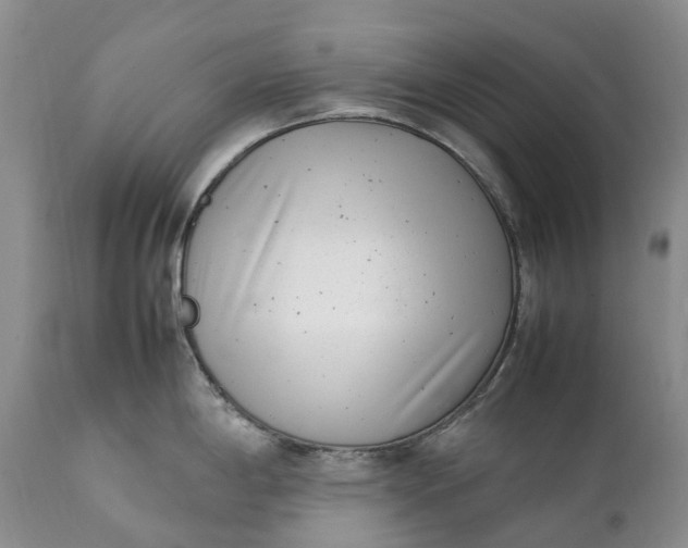 X0000111391198200907241326