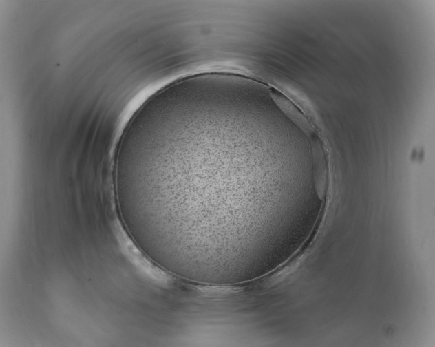 X0000111391200200907241326