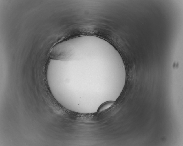 X0000111391201200907241325