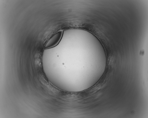 X0000111391202200907241325