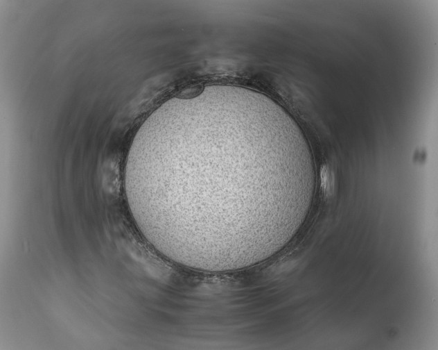 X0000111391203200907241325