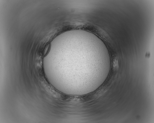 X0000111391204200907241325