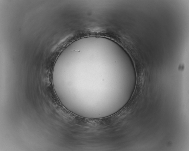 X0000111391205200907241325