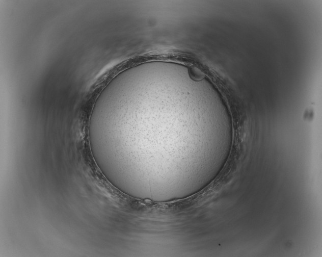 X0000111391206200907241325