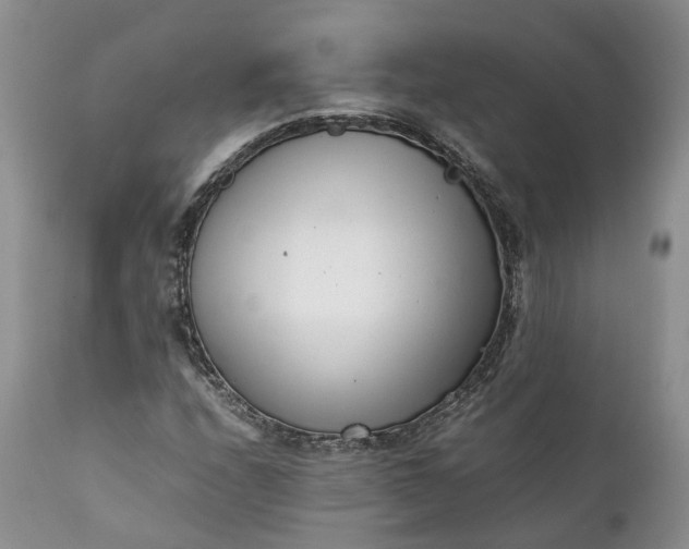 X0000111391208200907241325