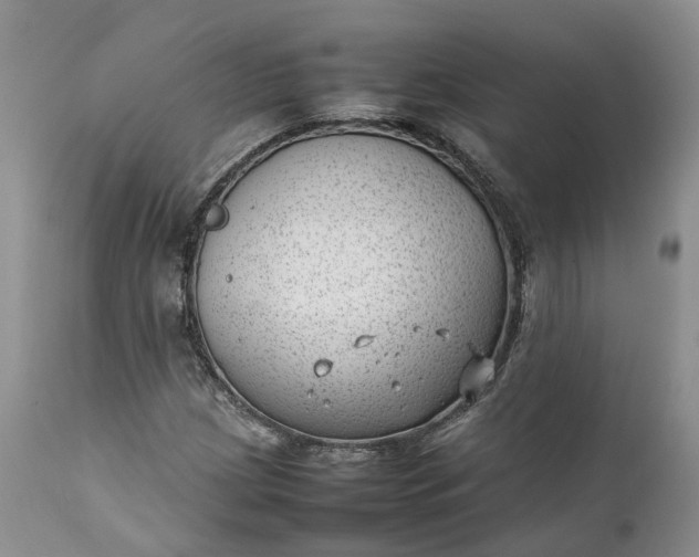 X0000111391209200907241325