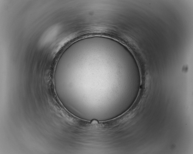 X0000111391210200907241325