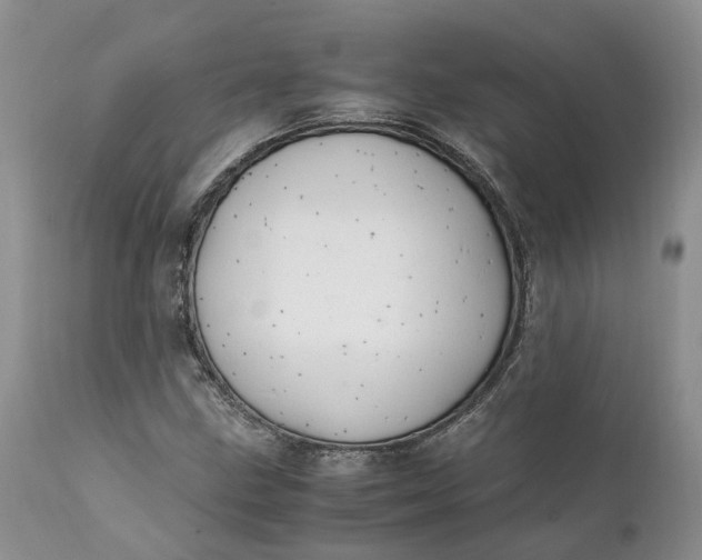 X0000111391211200907241325