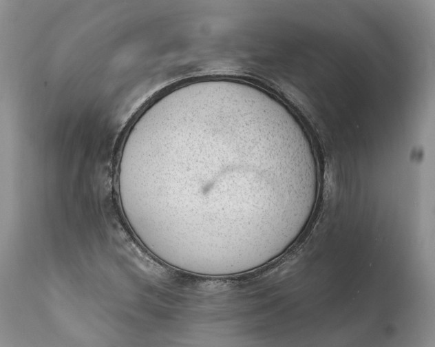 X0000111391212200907241325