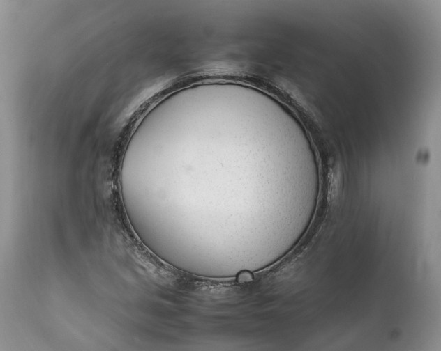 X0000111391213200907241325