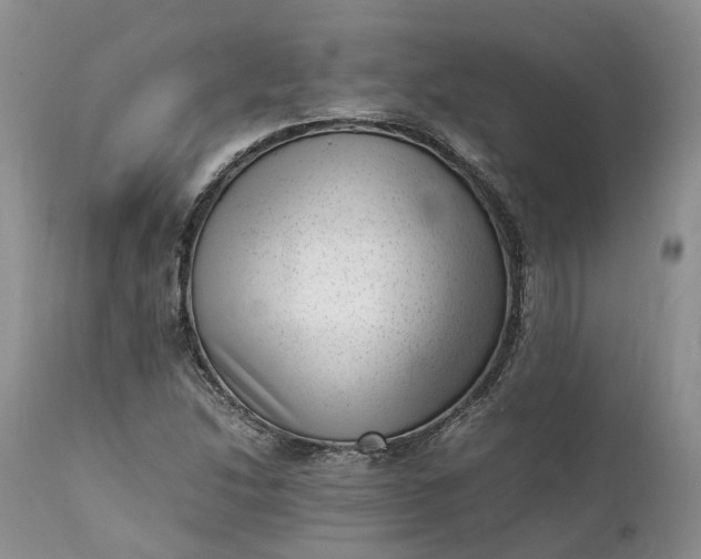 X0000111391214200907241325