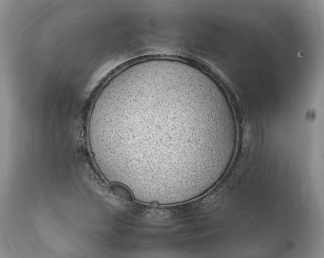 X0000111391215200907241326