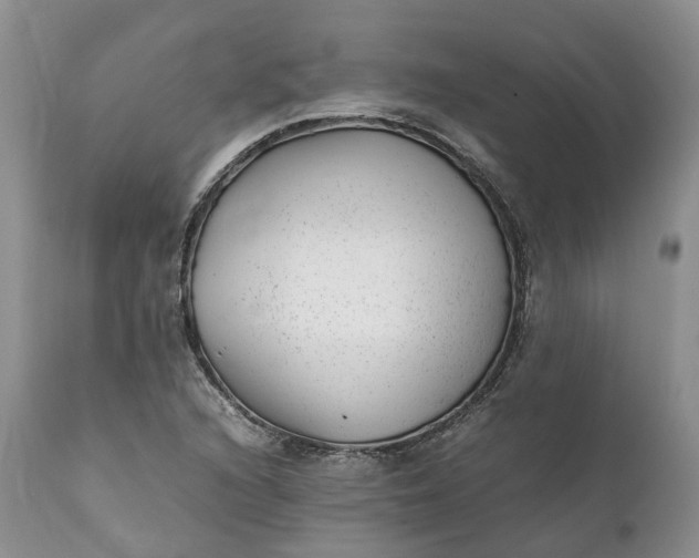 X0000111391216200907241326