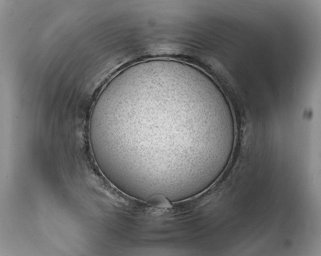 X0000111391217200907241326