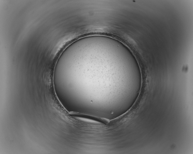 X0000111391218200907241326