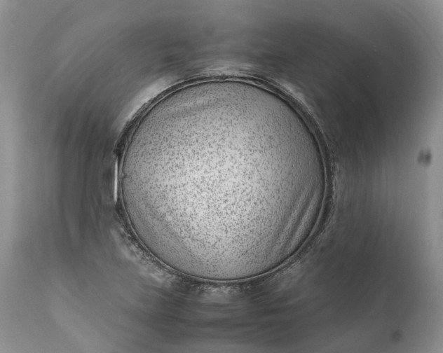 X0000111391219200907241326