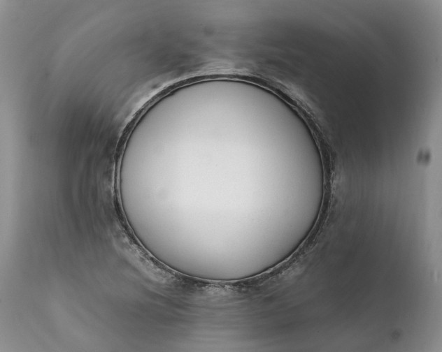 X0000111391220200907241326