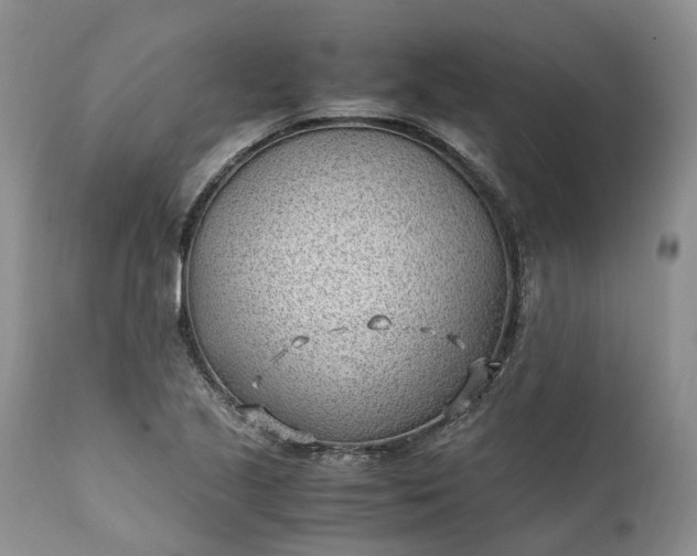 X0000111391221200907241326