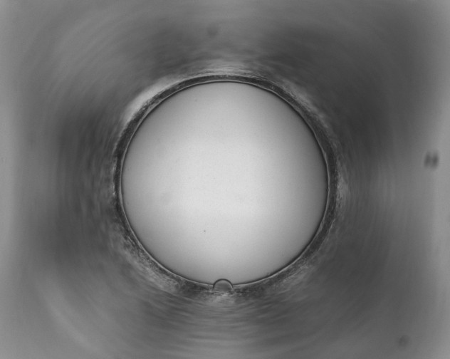 X0000111391222200907241326