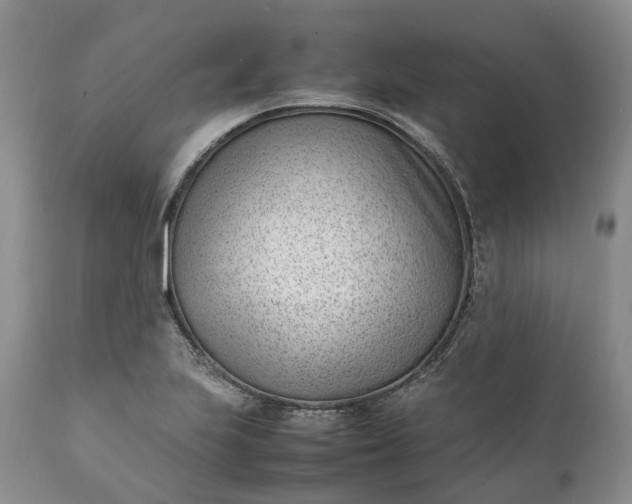 X0000111391223200907241326