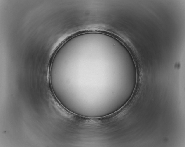 X0000111391224200907241326