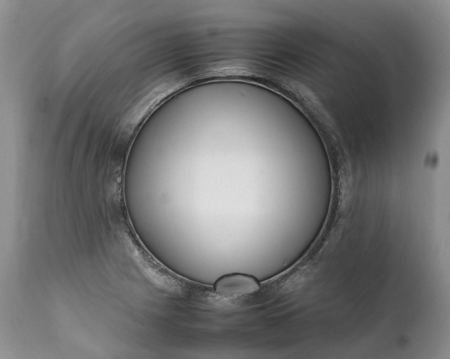 X0000111391225200907241326