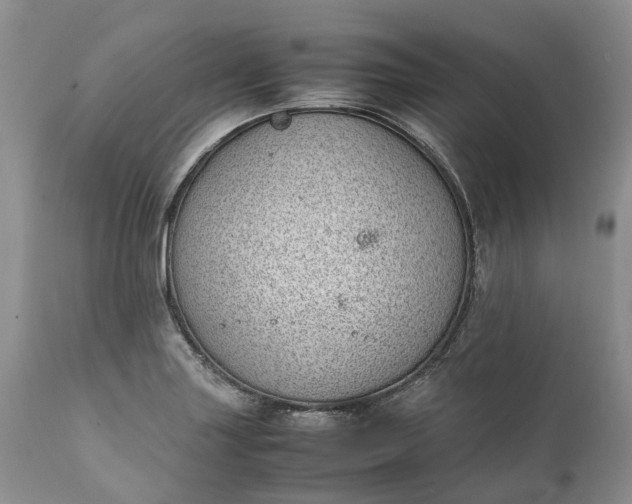 X0000111391227200907241326