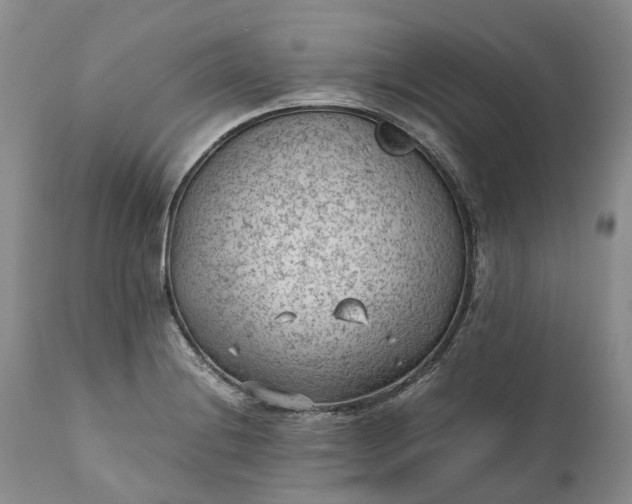 X0000111391228200907241326