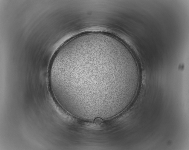 X0000111391229200907241326