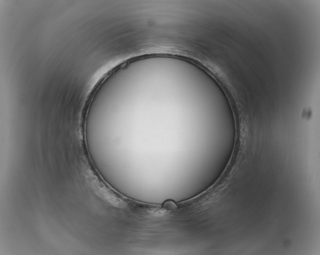 X0000111391230200907241326