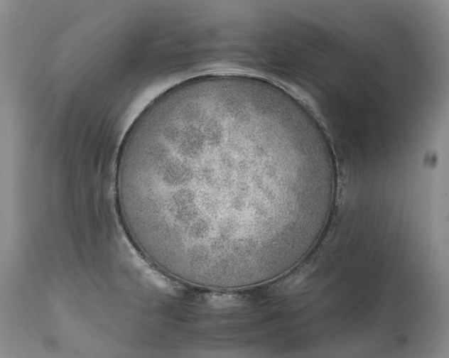 X0000111391231200907241326