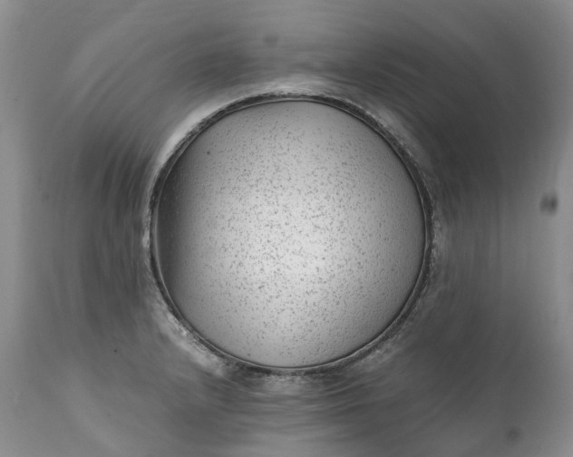 X0000111391232200907241326