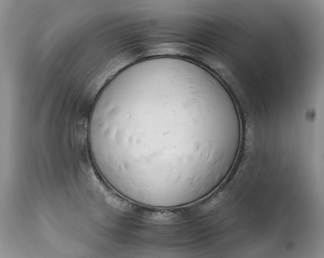 X0000111391233200907241326