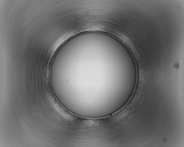 X0000111391234200907241326