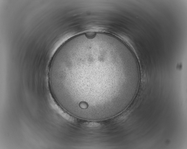 X0000111391235200907241326