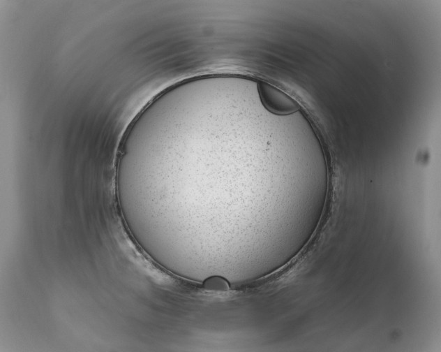 X0000111391236200907241326