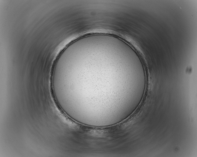 X0000111391237200907241326