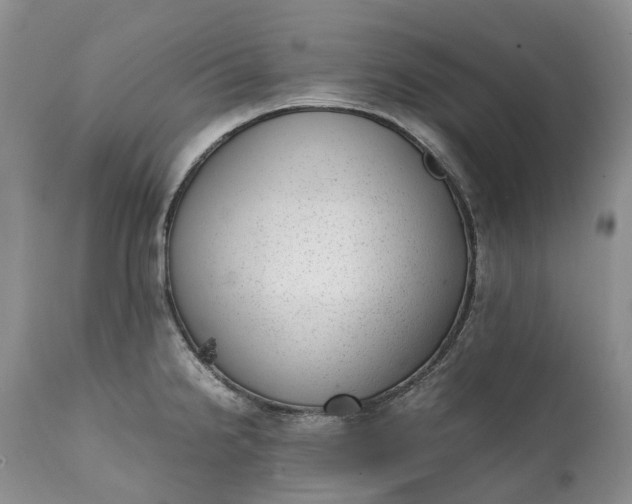 X0000111391238200907241326