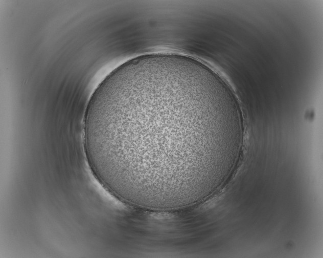 X0000111391239200907241326