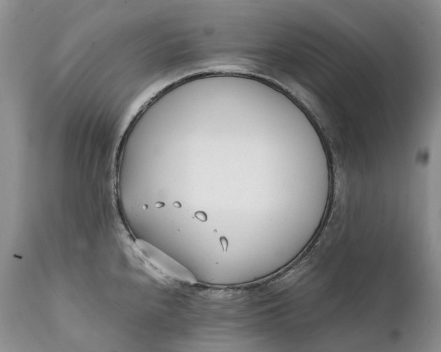 X0000111391240200907241326