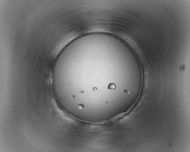 X0000111391241200907241326