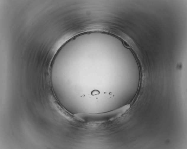 X0000111391242200907241326