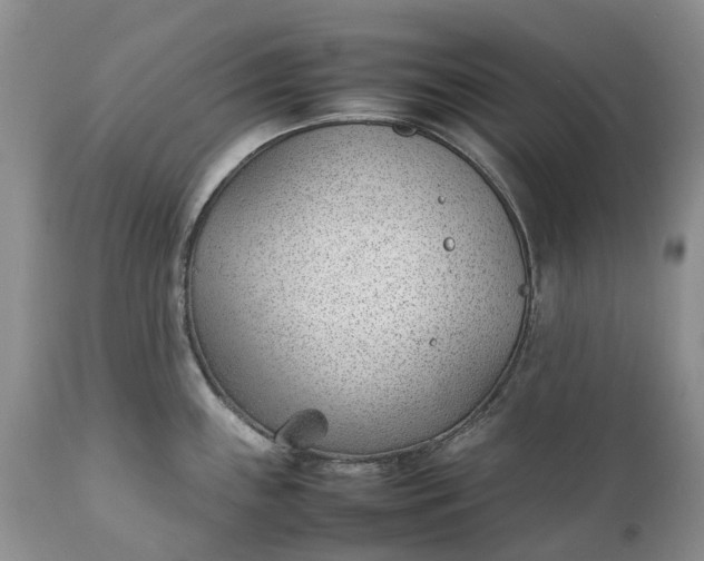 X0000111391243200907241326