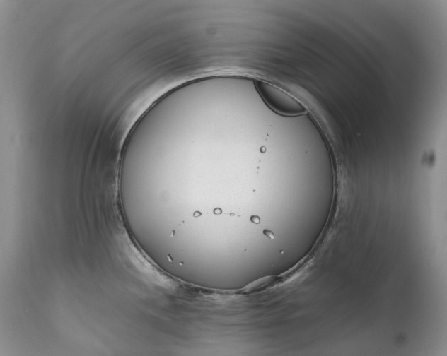 X0000111391244200907241326