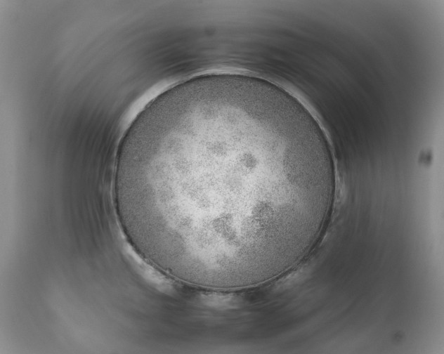 X0000111391245200907241326