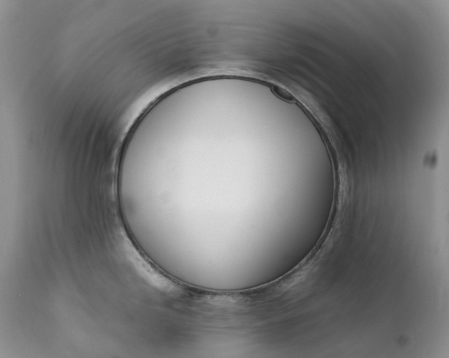 X0000111391246200907241326