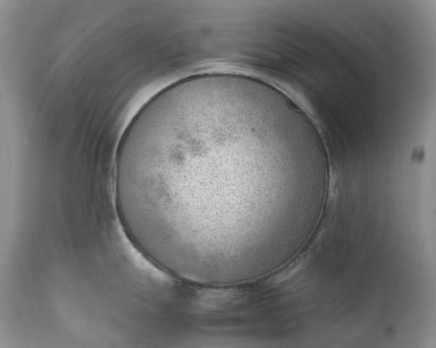 X0000111391247200907241326