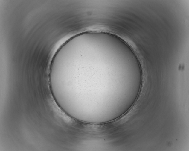 X0000111391248200907241326