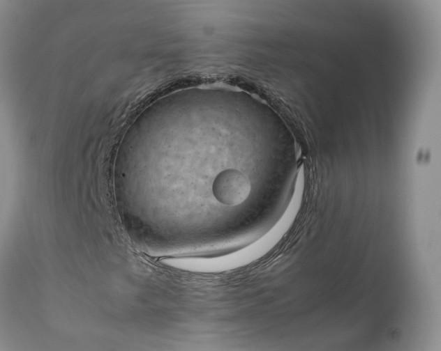 X0000111391249200907241325